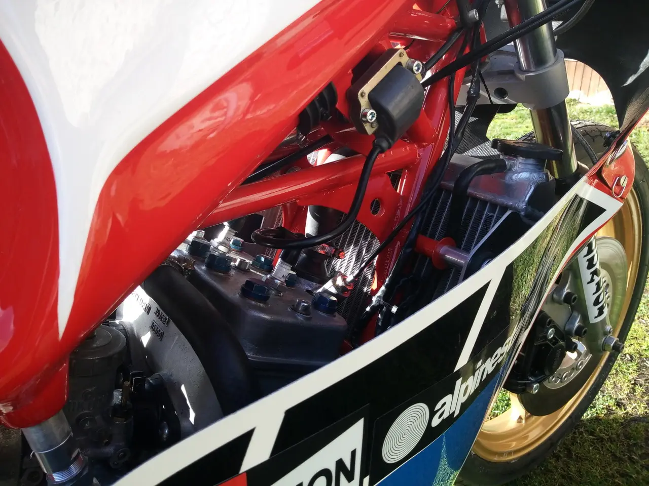 Bimota Adriatica7.resized
